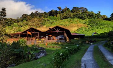 Coffee Tour with Tasting